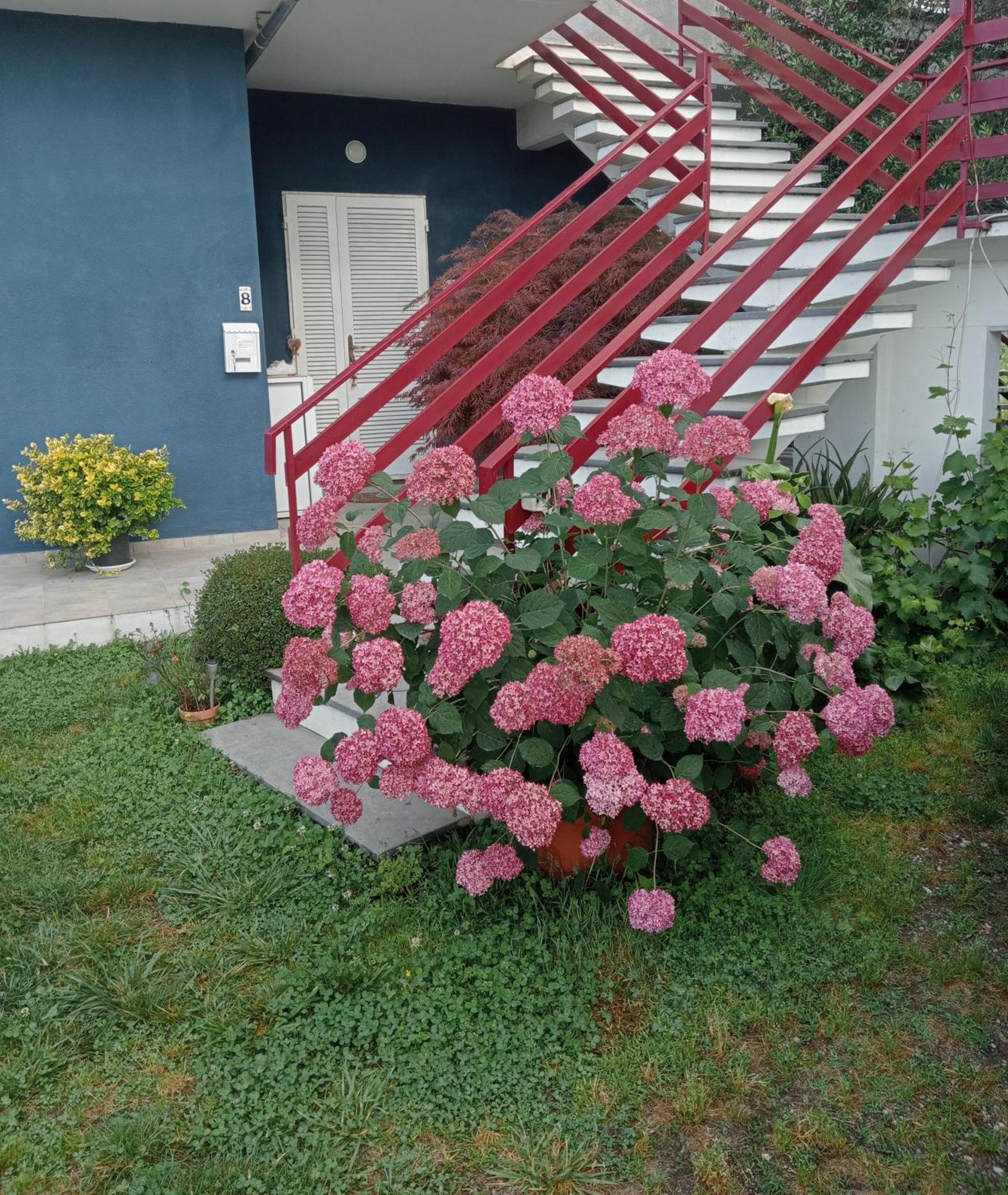 Apartmán Casa Guanita Uzzano Exteriér fotografie